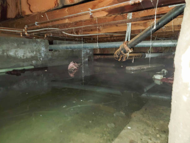 Best Flood restoration services  in Lake Wynonah, PA