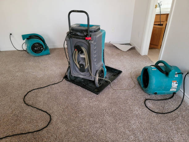  Lake Wynonah, PA Water damage restoration Pros