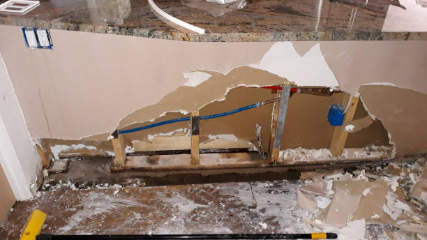 Best 24/7 water damage repair  in Lake Wynonah, PA