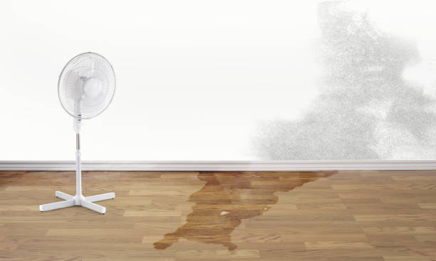 Best Residential water damage restoration  in Lake Wynonah, PA