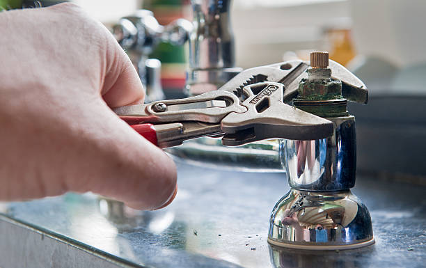 Best Water damage cleanup near me  in Lake Wynonah, PA