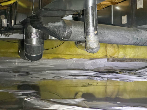 Best Sewage cleanup and water damage restoration  in Lake Wynonah, PA