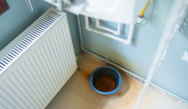 Best Water damage restoration near me  in Lake Wynonah, PA