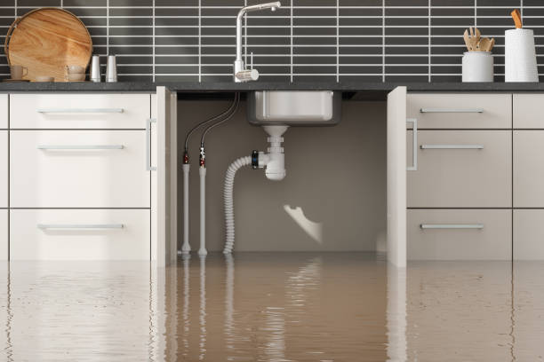 Trusted Lake Wynonah, PA Water damage restoration Experts